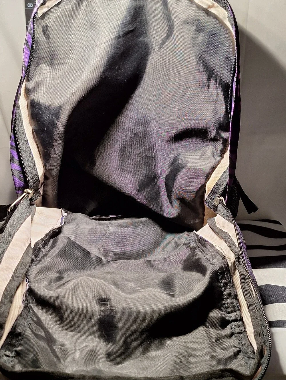 Jansport Backpack, Zebra Stripes, Blue Purple Black